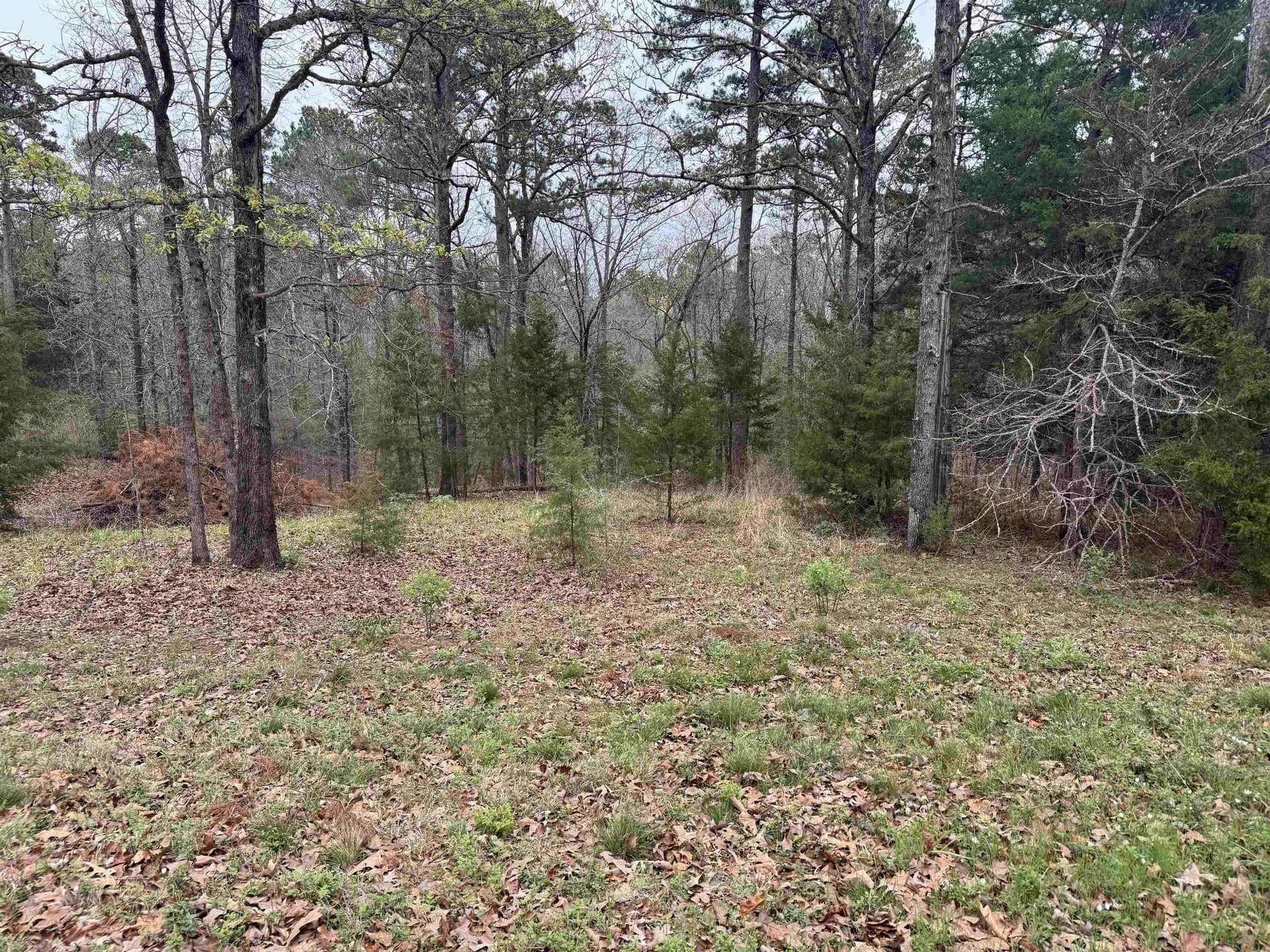 2.35 acres in Texas County - photo 9