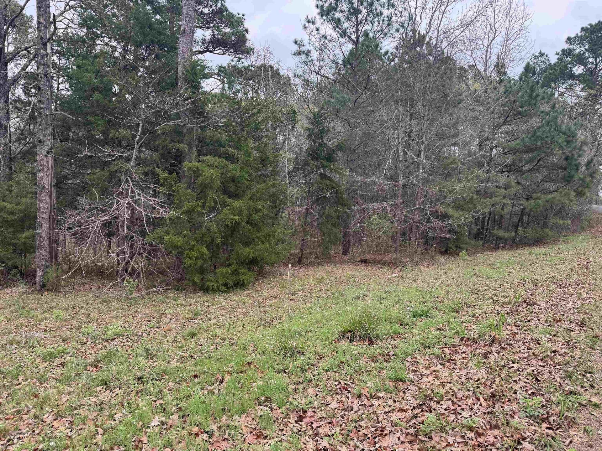 2.35 acres in Texas County