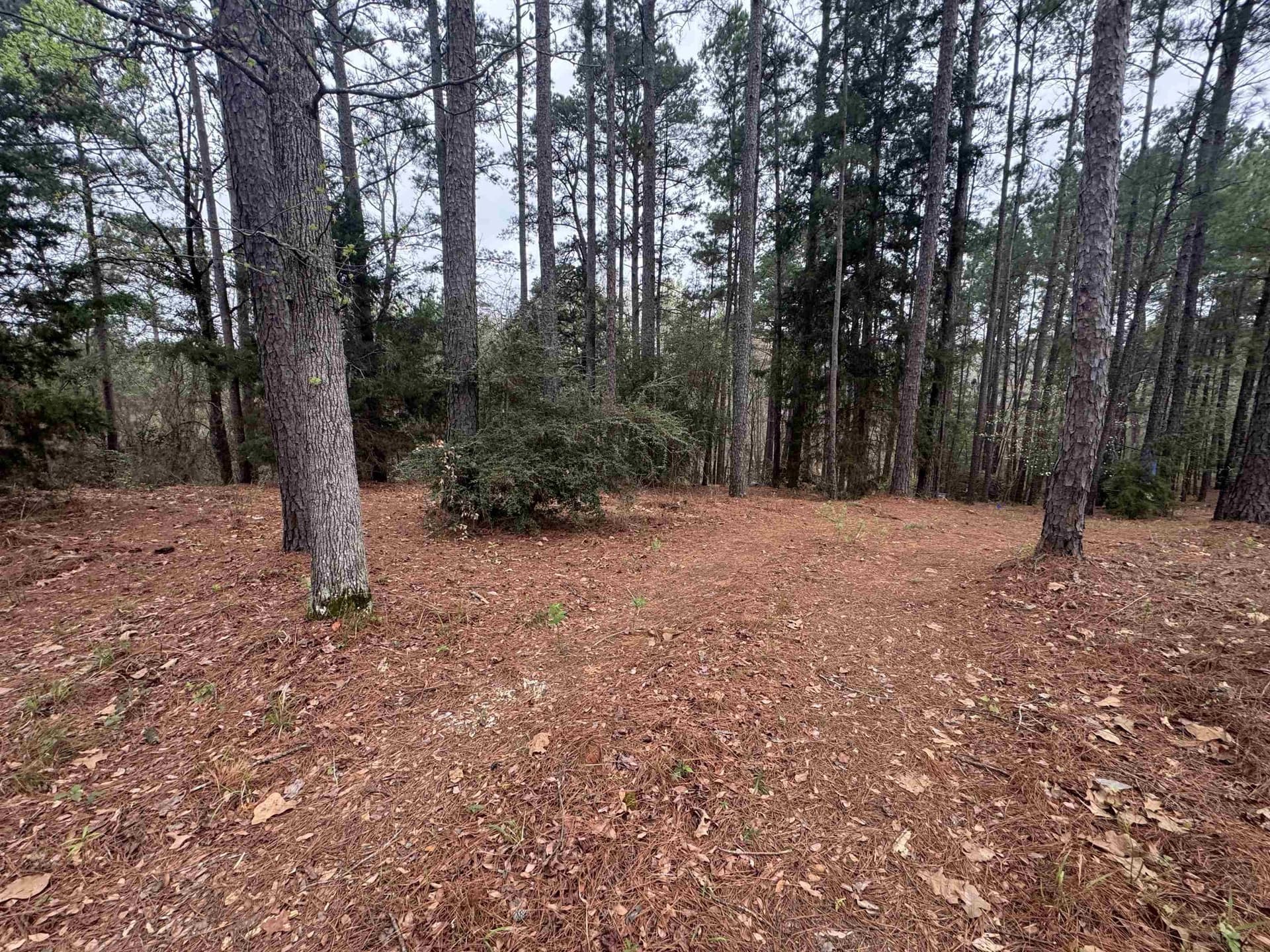 2.35 acres in Texas County featured view