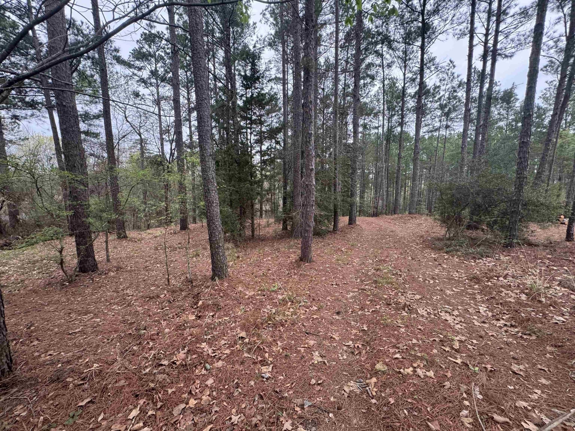 2.35 acres in Texas County - photo 6