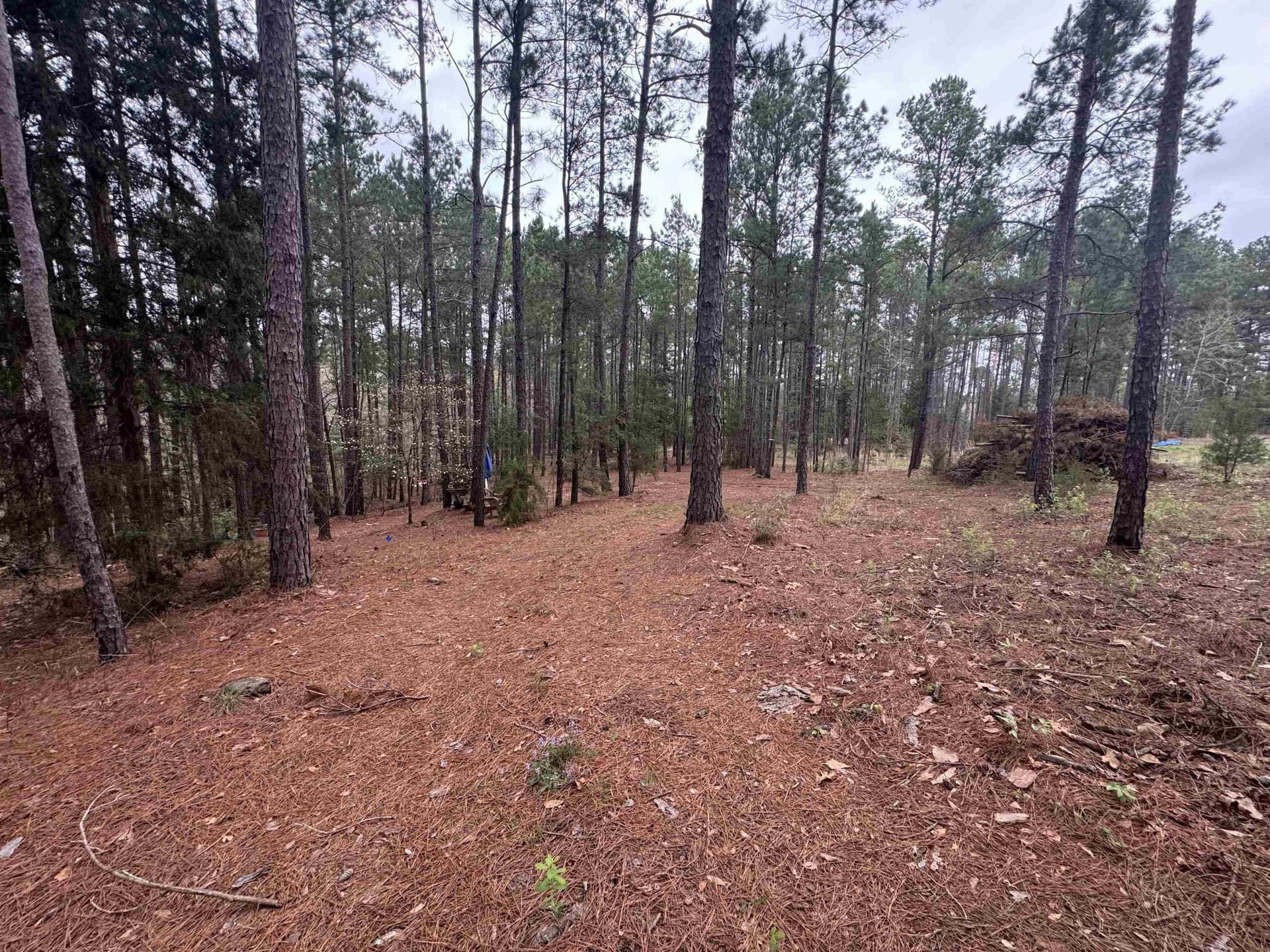 2.35 acres in Texas County gallery image 3