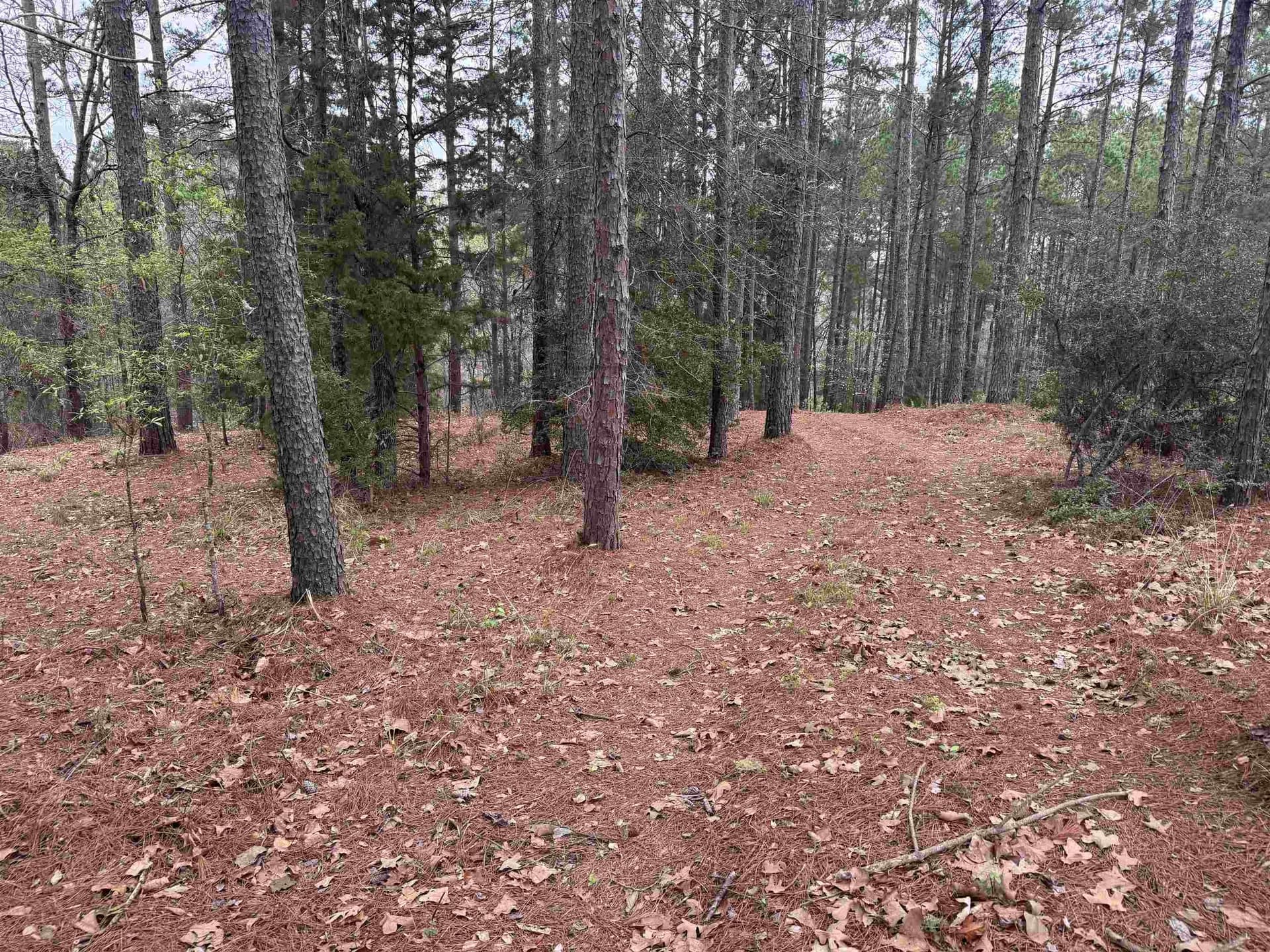 2.35 acres in Texas County - photo 7