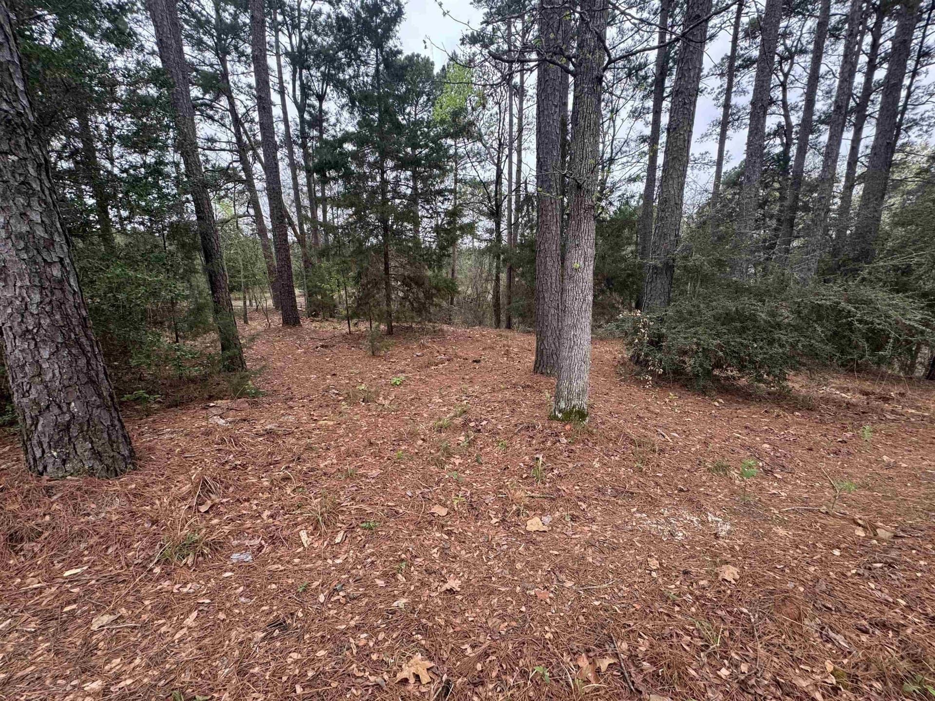 2.35 acres in Texas County gallery image 4