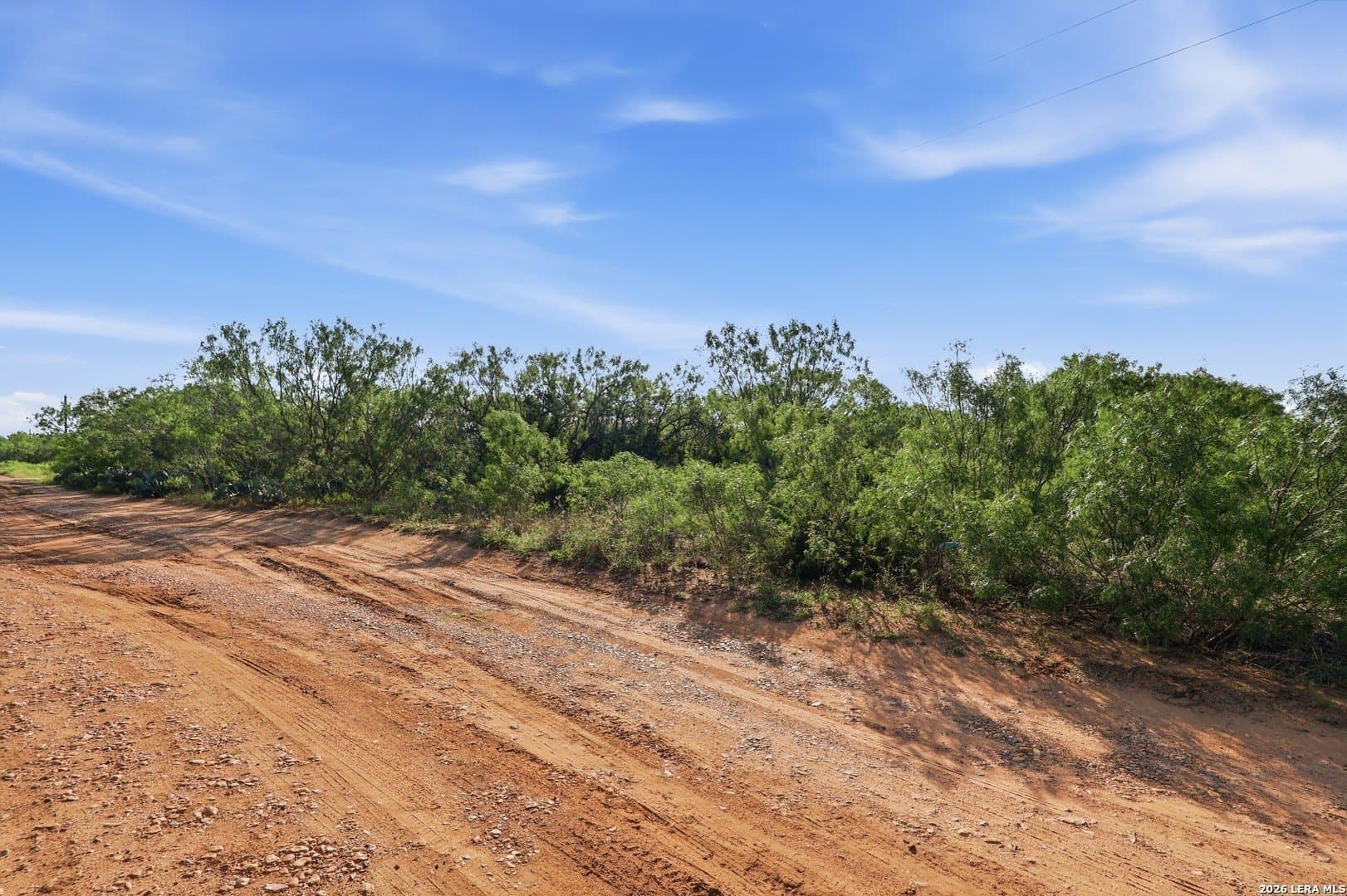 6 acres in Atascosa County - photo 8