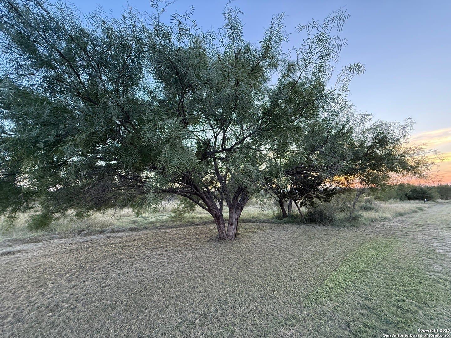 2.64 acres in Real County gallery image 3