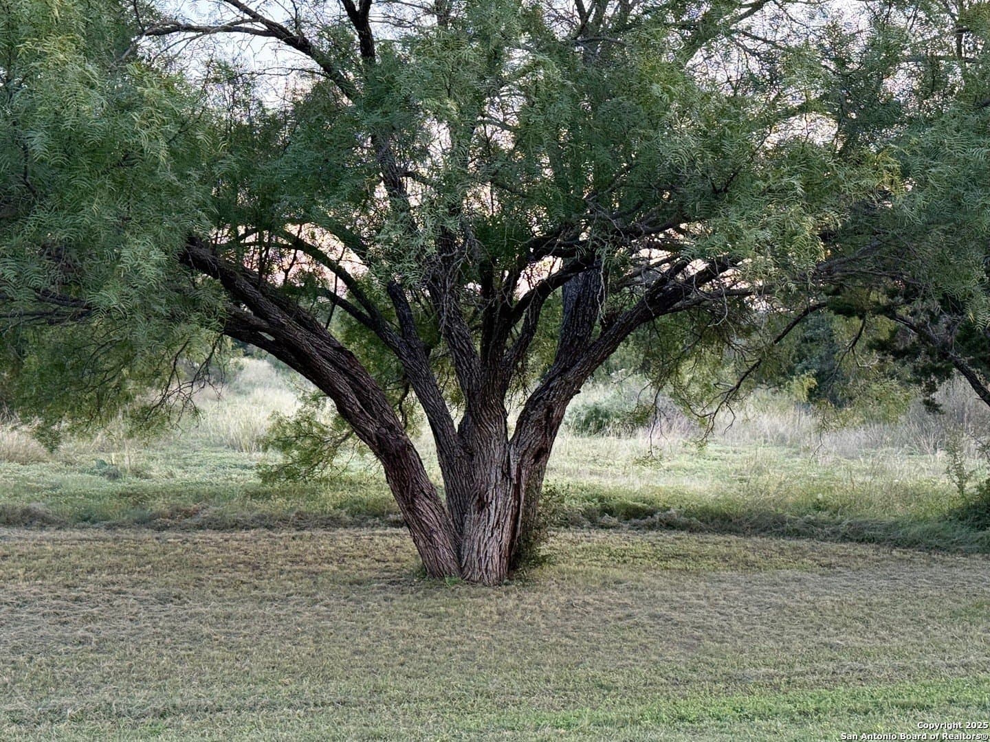 2.64 acres in Real County