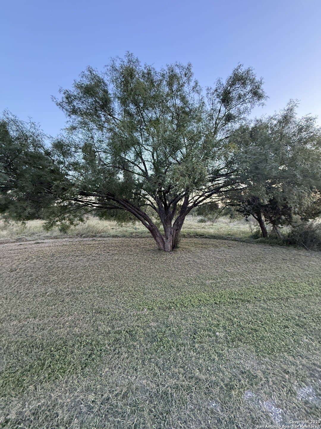 2.64 acres in Real County gallery image 2