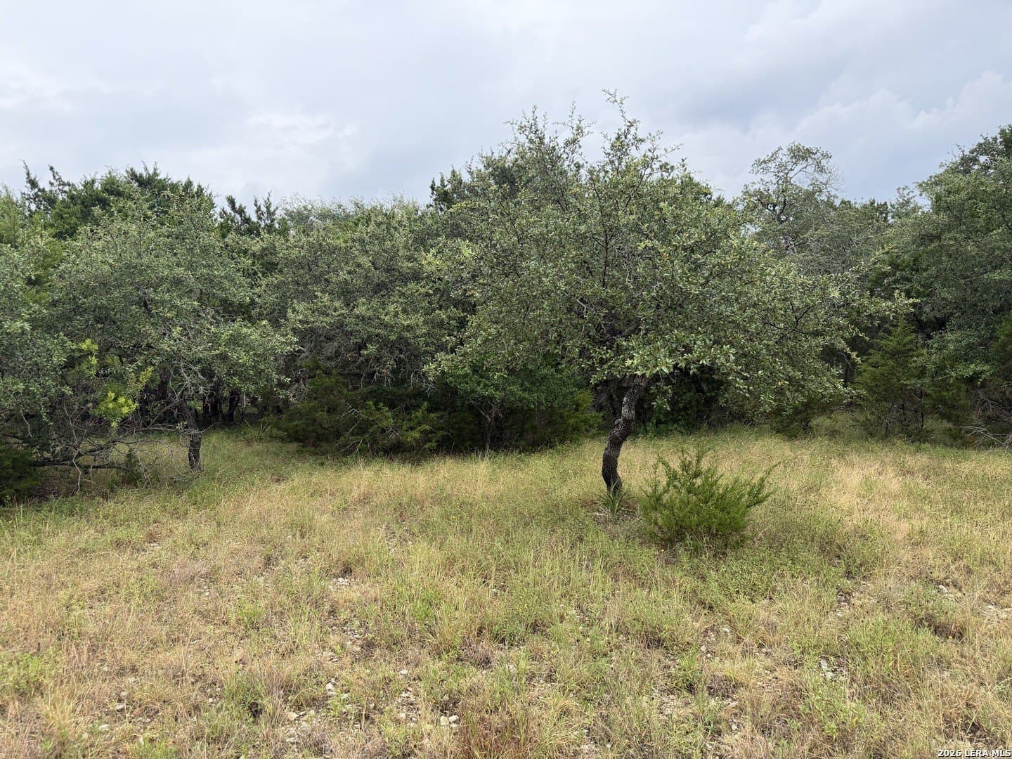 1.03 acres in Comal County - photo 4