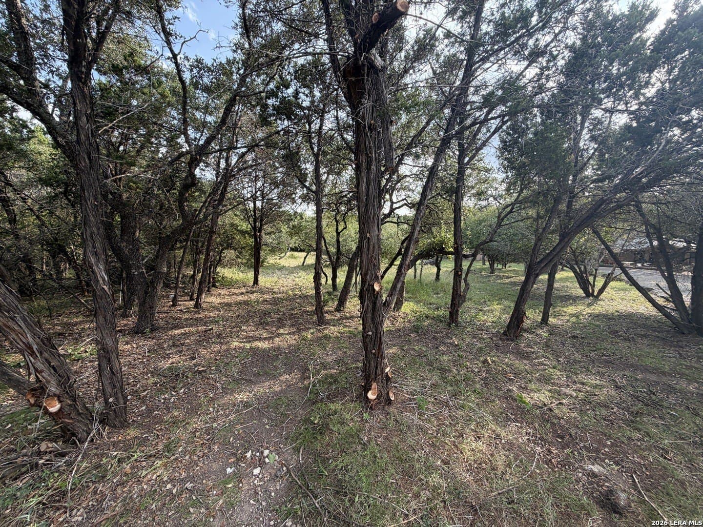 1.03 acres in Comal County - photo 28