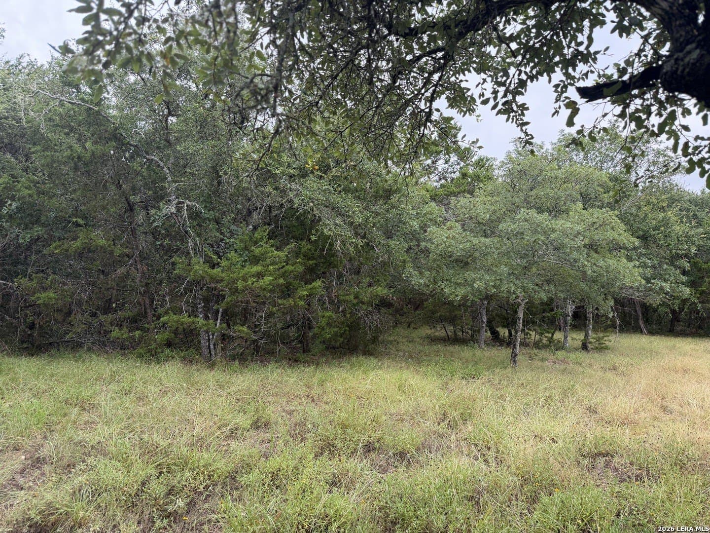 1.03 acres in Comal County featured view