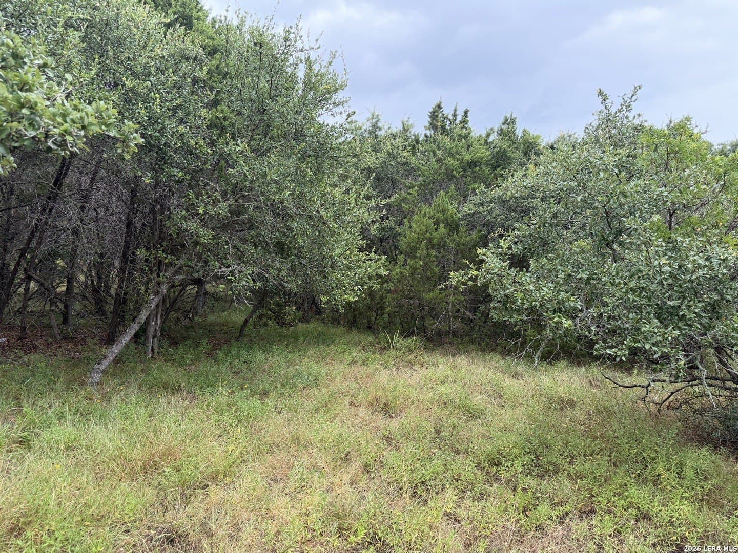 1.03 acres in Comal County - photo 5