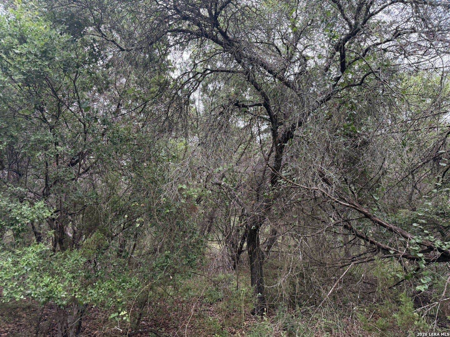 1.03 acres in Comal County - photo 20