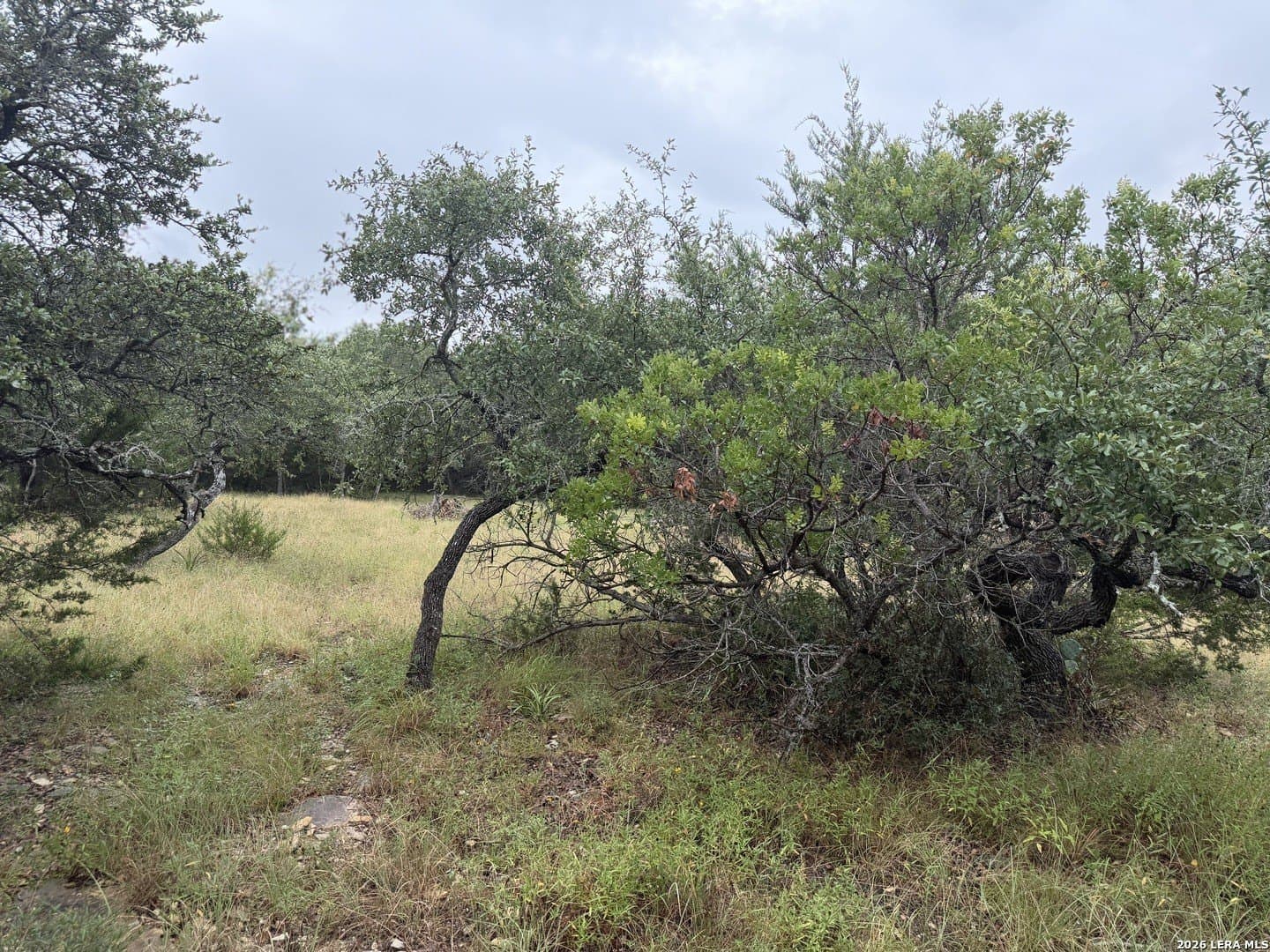 1.03 acres in Comal County - photo 12