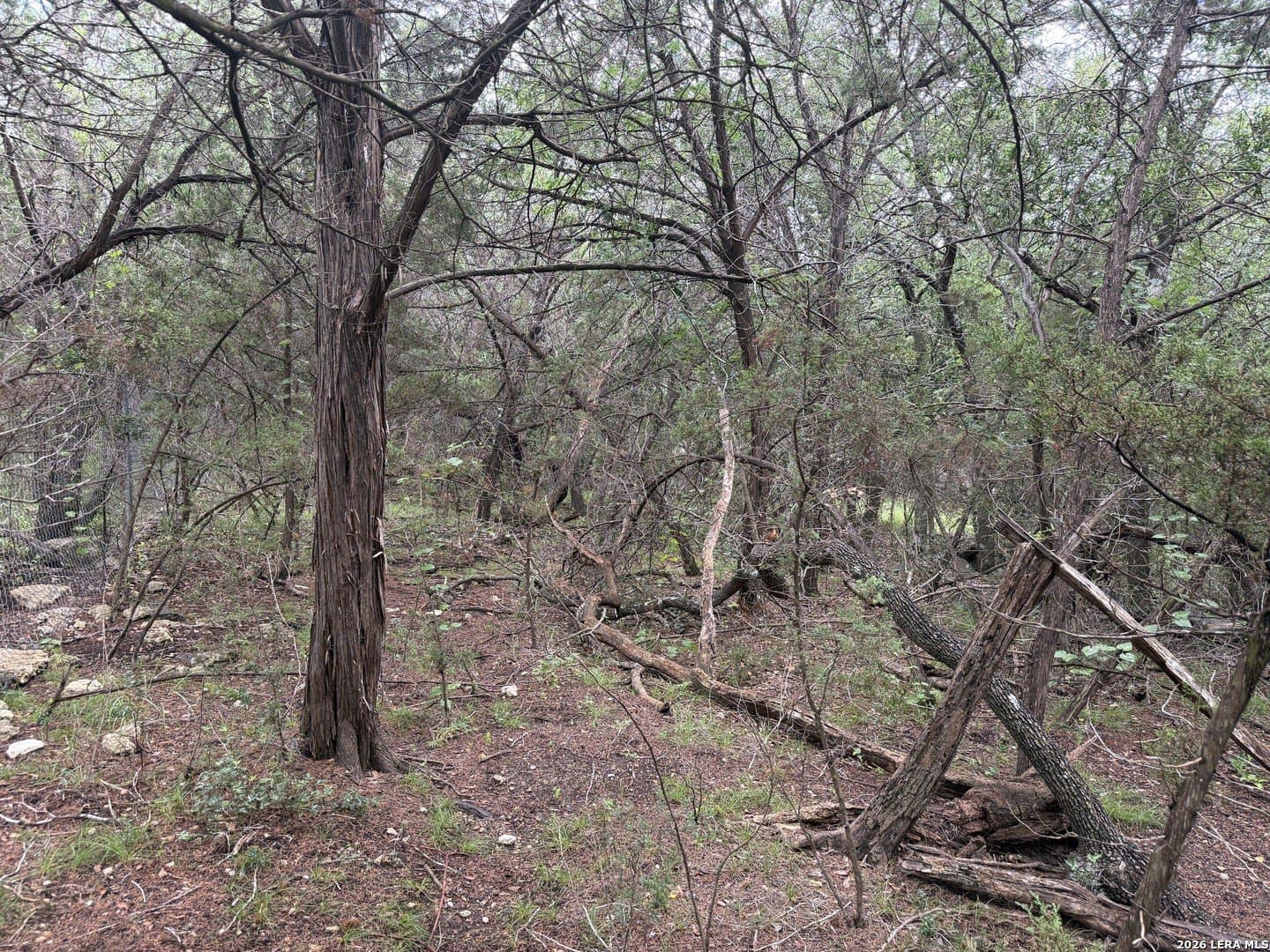 1.03 acres in Comal County - photo 18