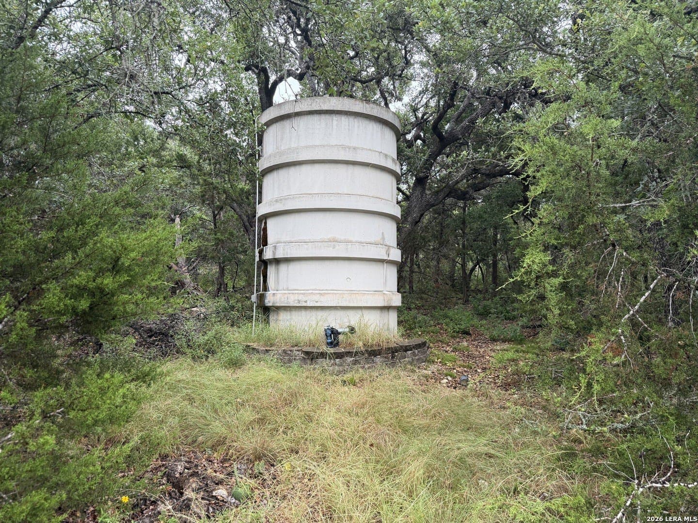 1.03 acres in Comal County gallery image 4