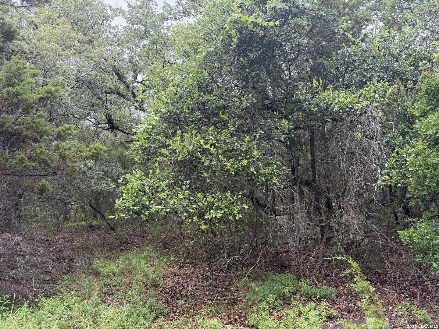 1.03 acres in Comal County - photo 19