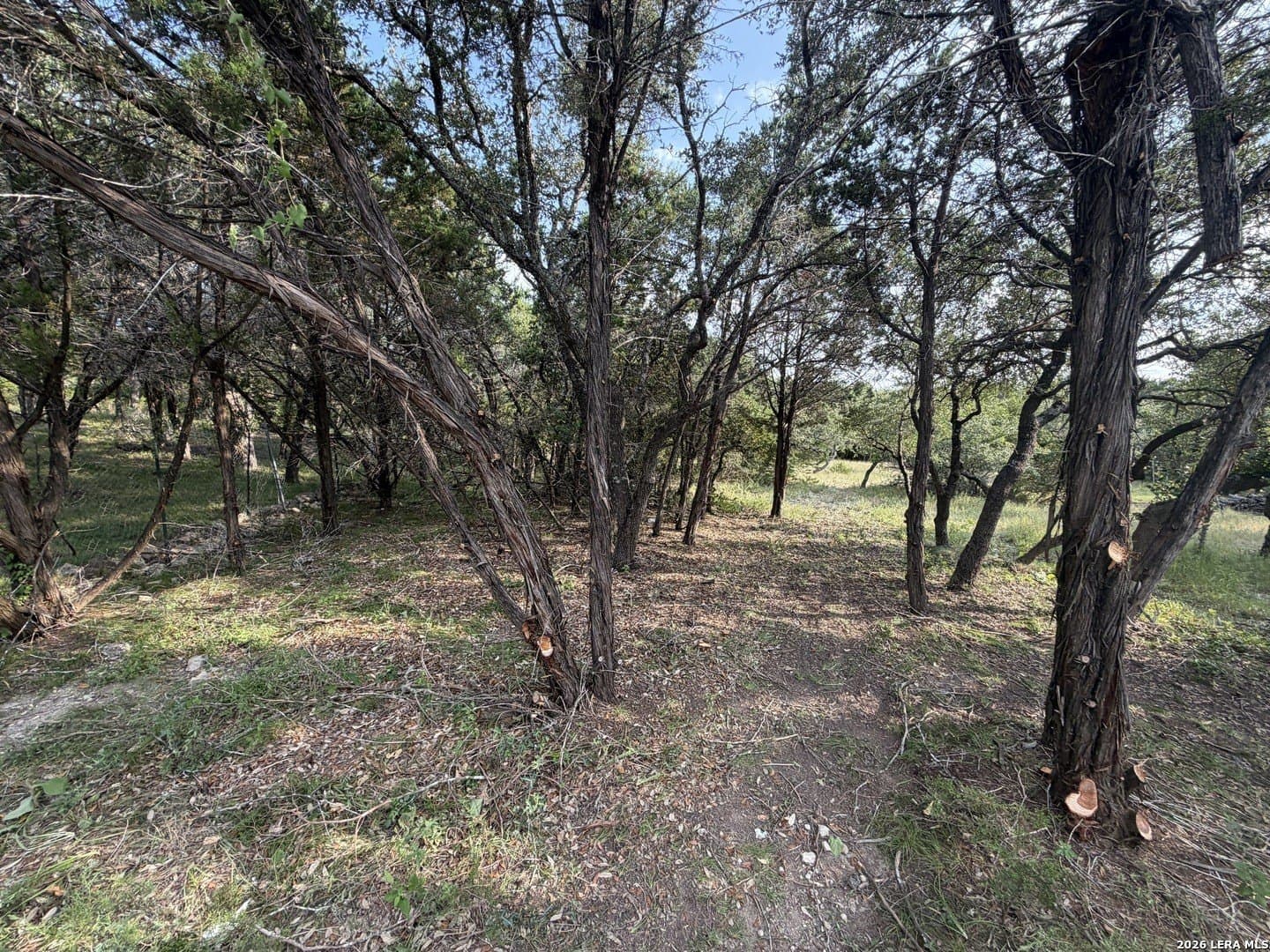 1.03 acres in Comal County - photo 27