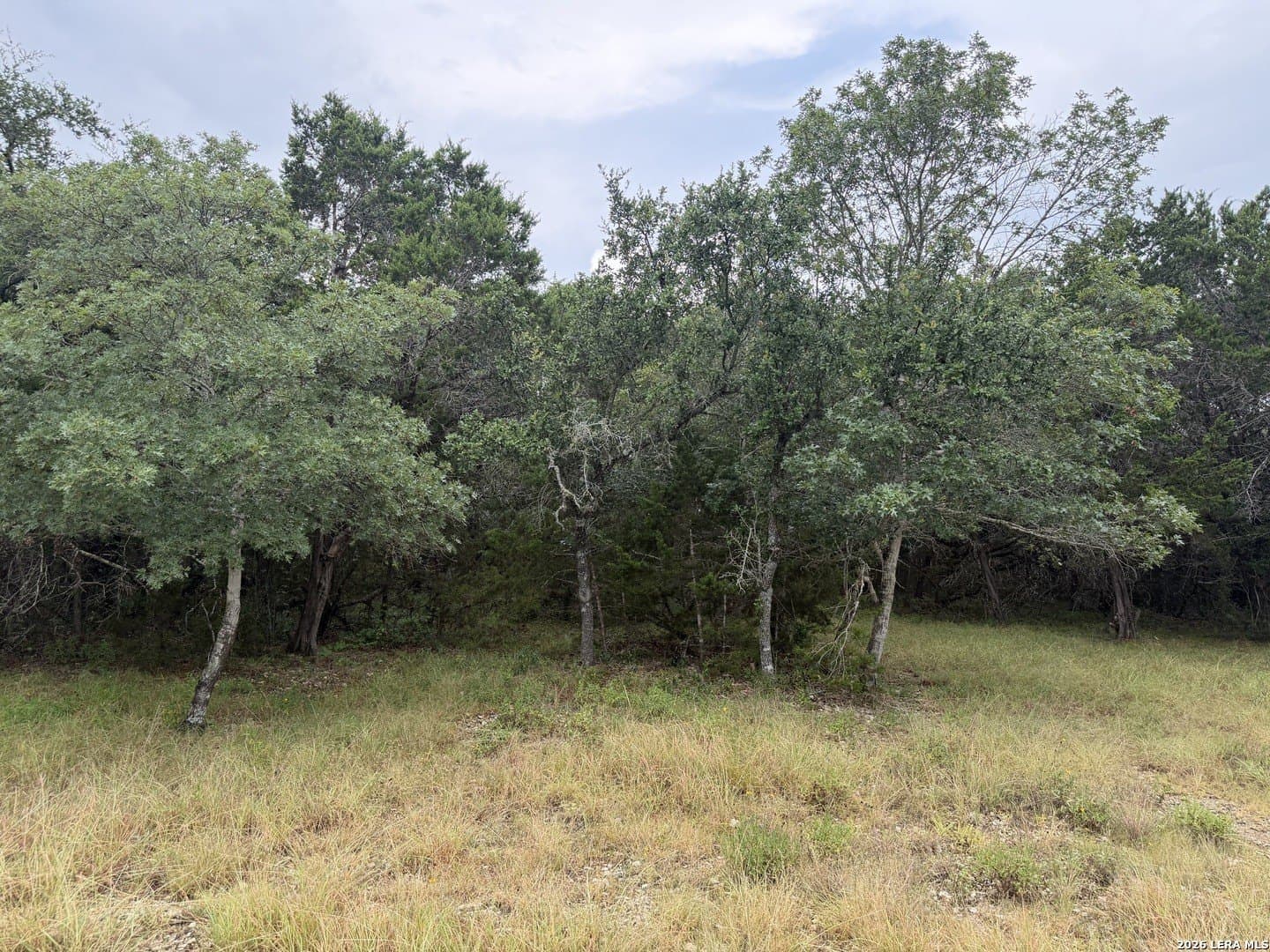 1.03 acres in Comal County - photo 26