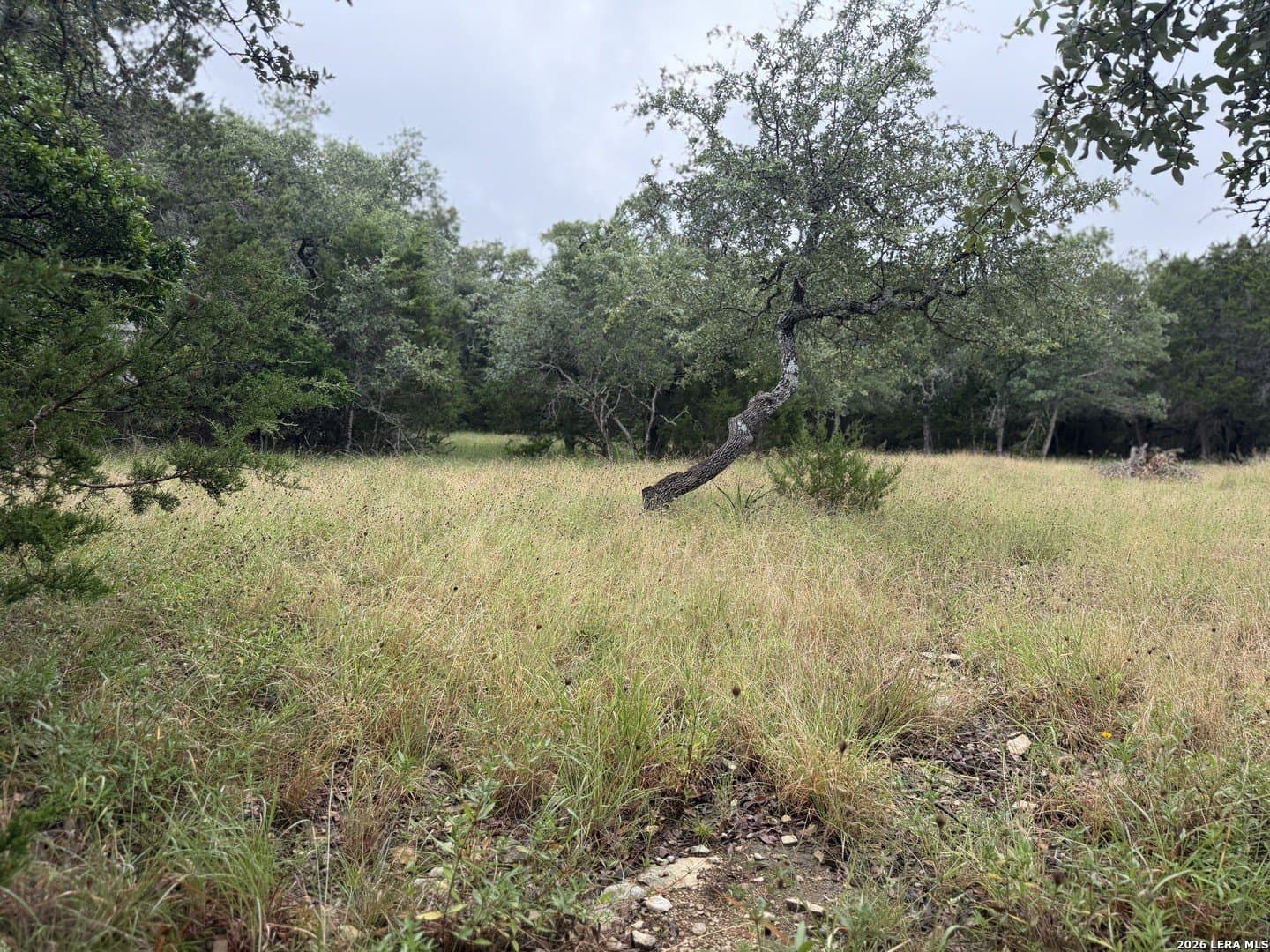 1.03 acres in Comal County - photo 3