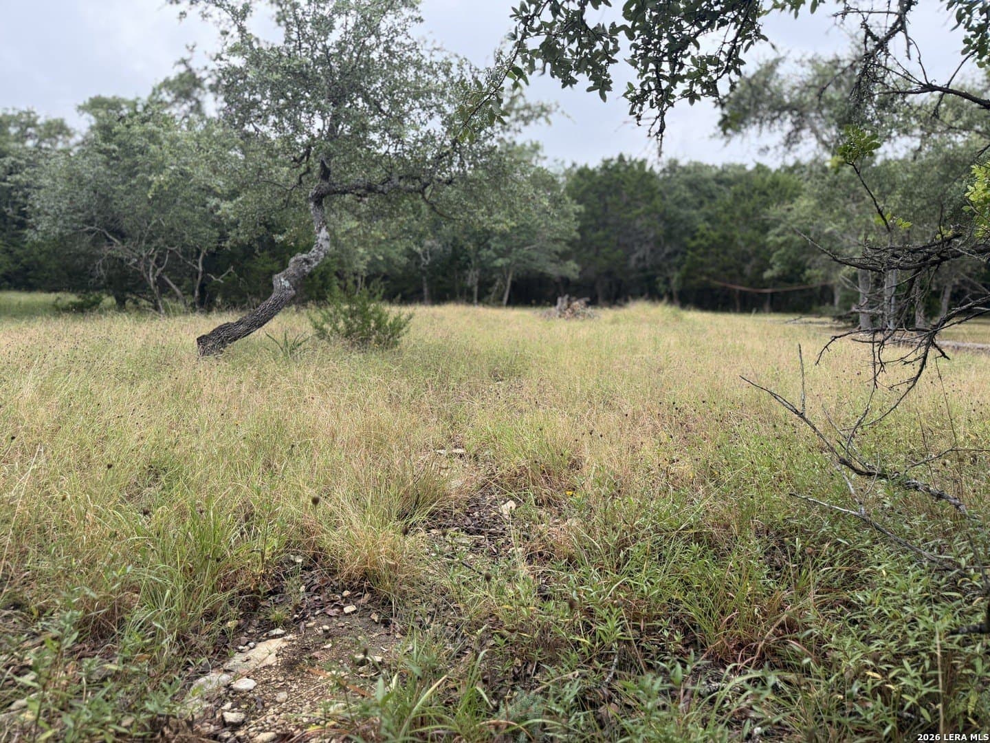 1.03 acres in Comal County gallery image 3