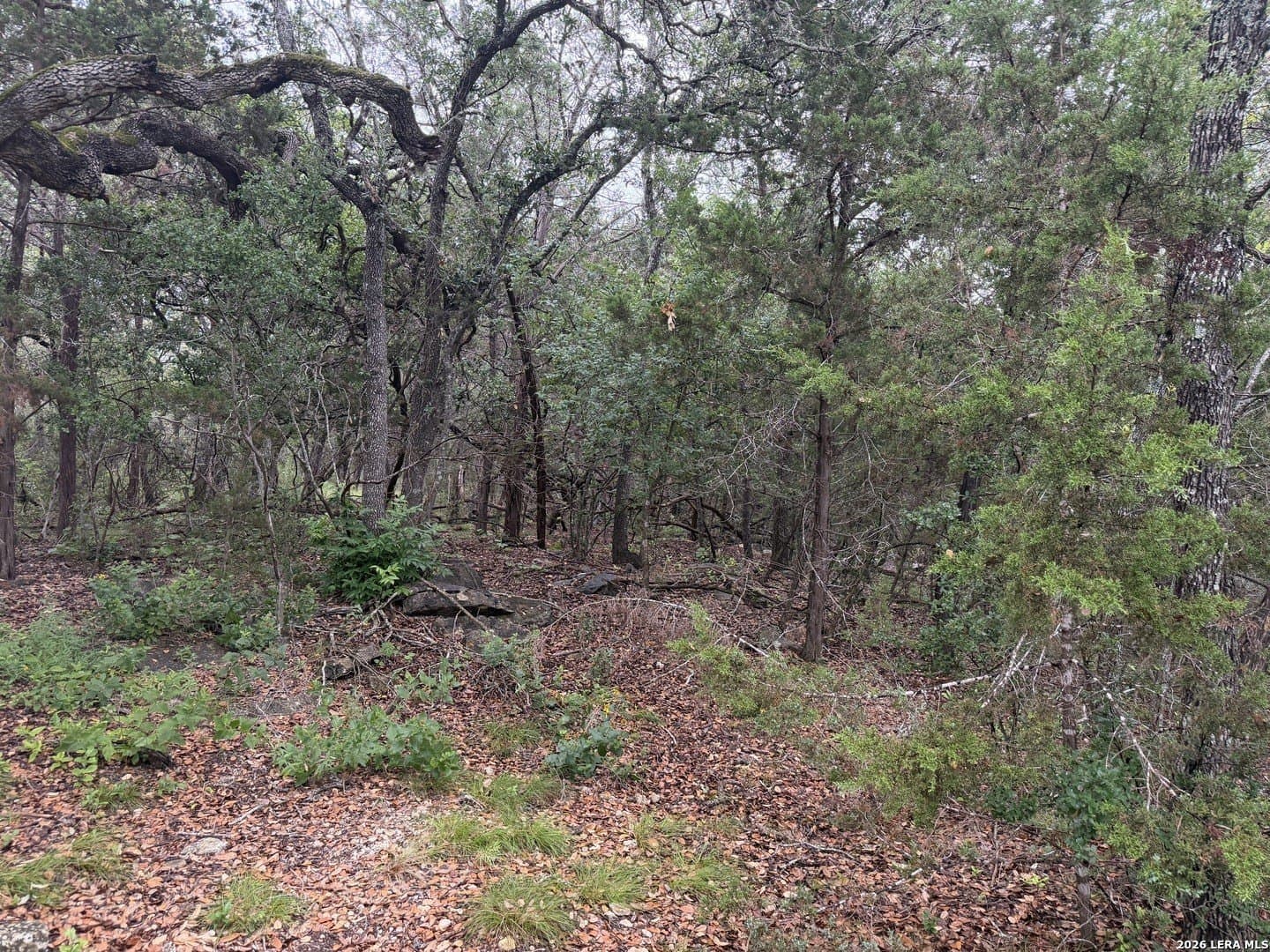 1.03 acres in Comal County - photo 17