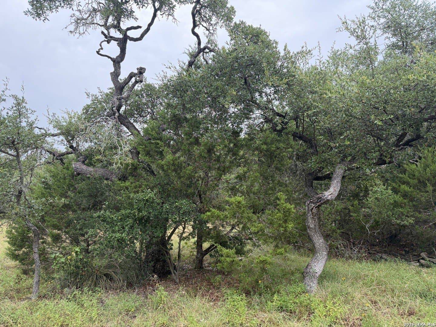 1.03 acres in Comal County - photo 21