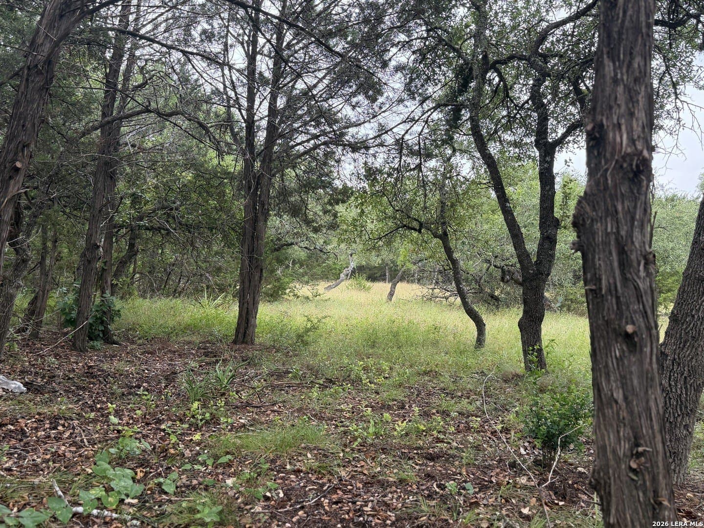1.03 acres in Comal County