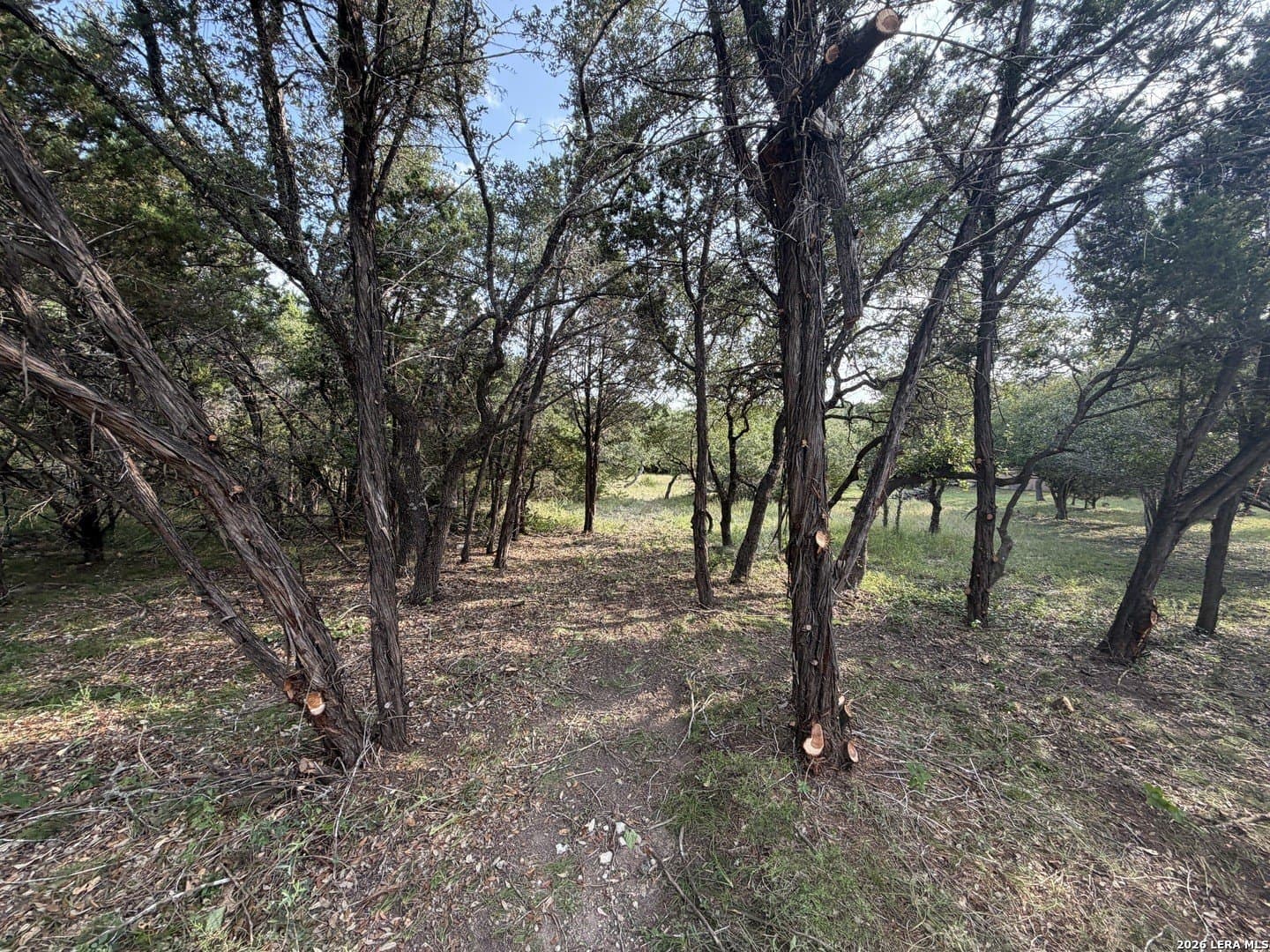 1.03 acres in Comal County - photo 29