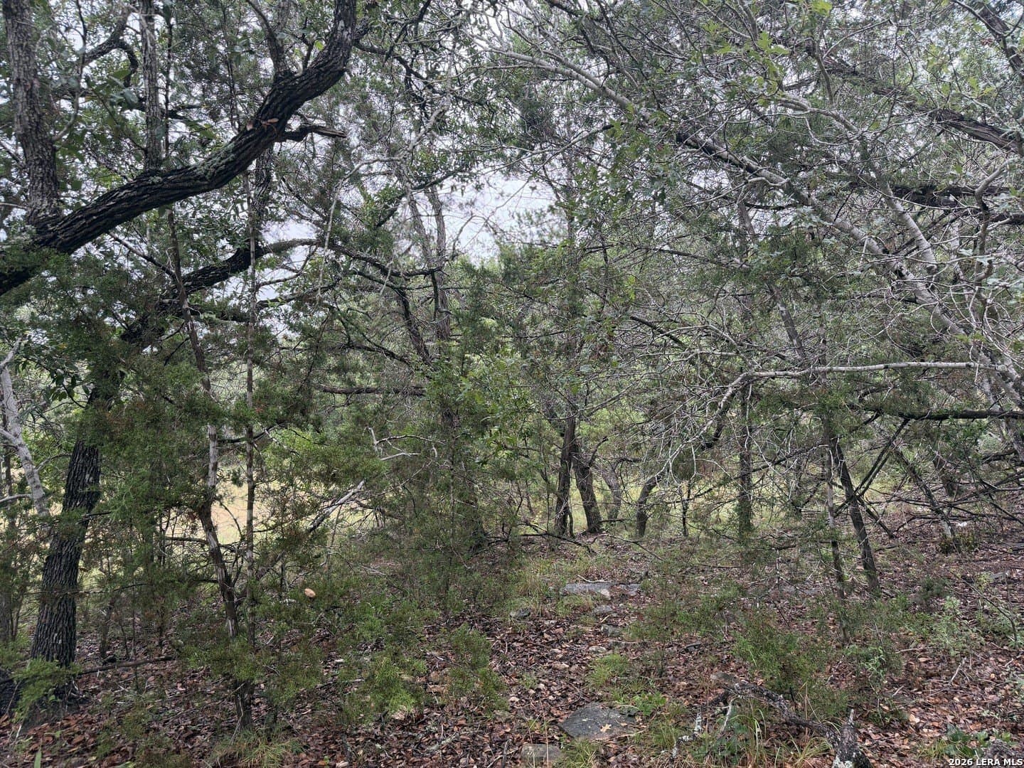 1.03 acres in Comal County - photo 14