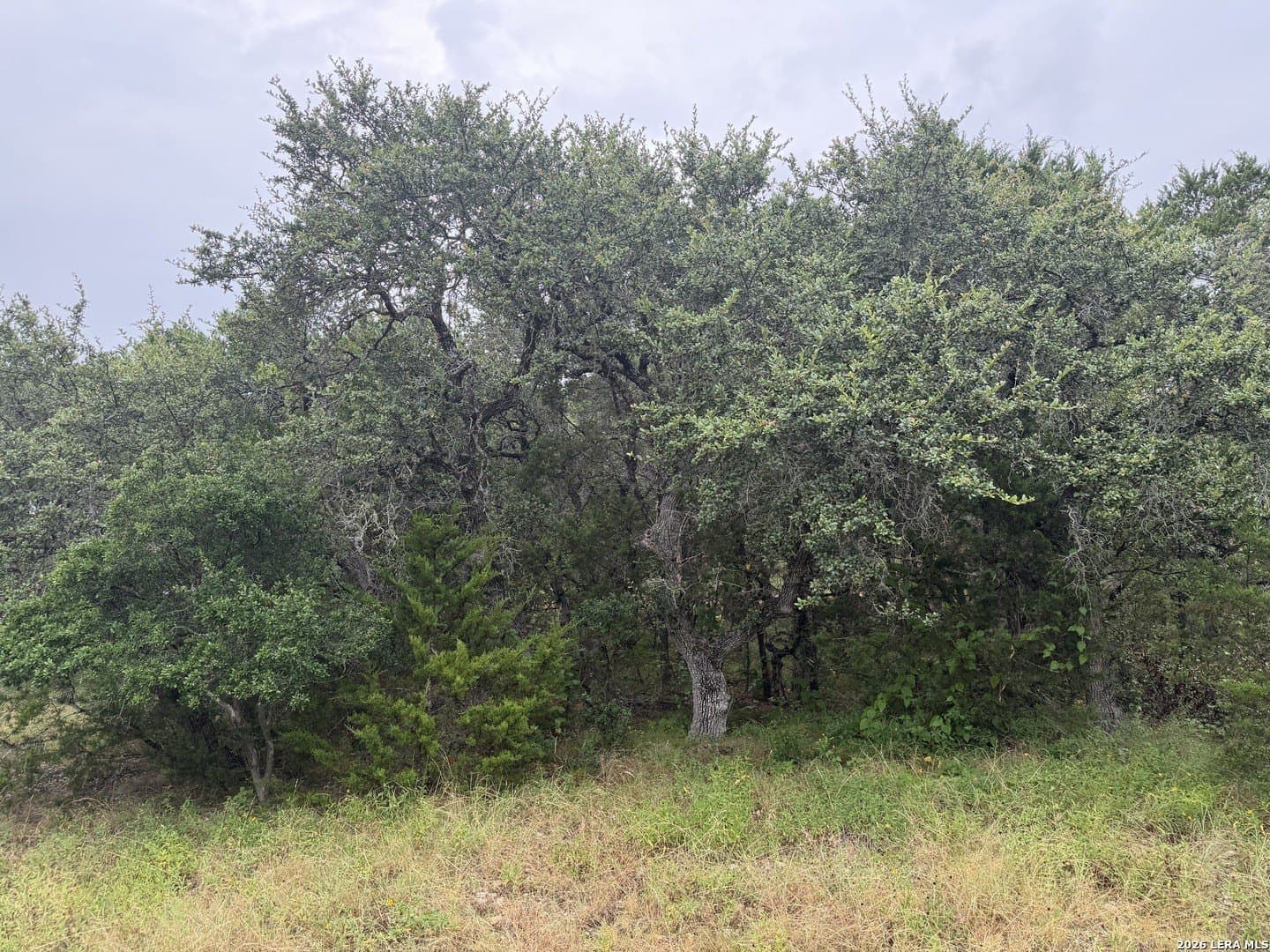 1.03 acres in Comal County - photo 15