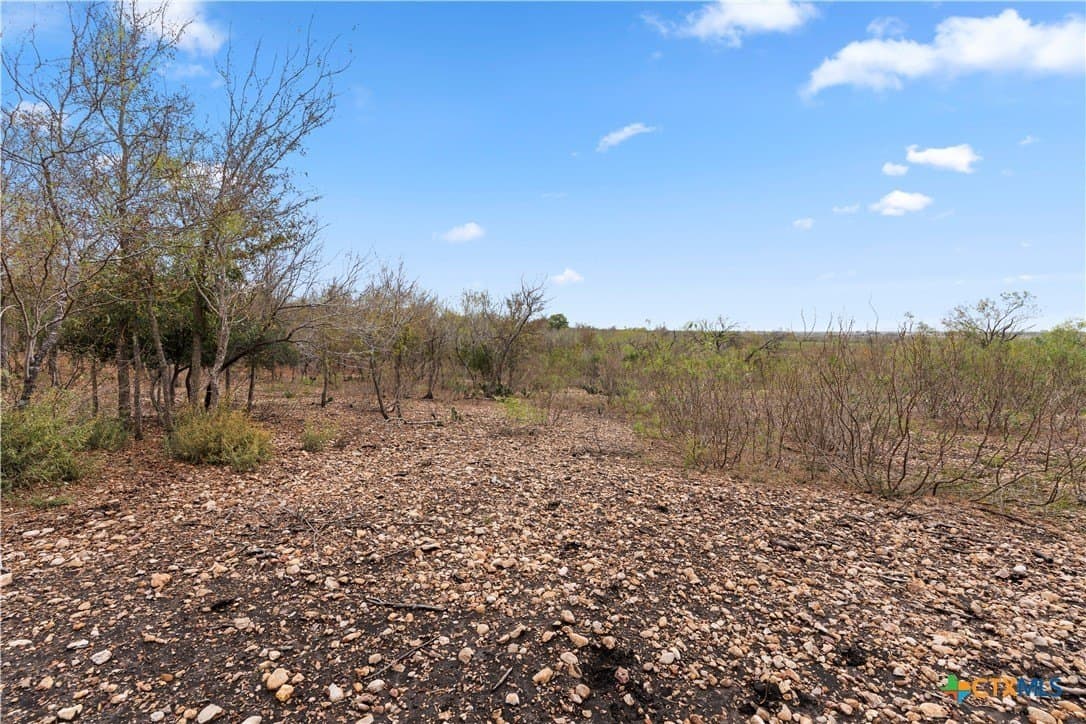 1.63 acres in Guadalupe County gallery image 3