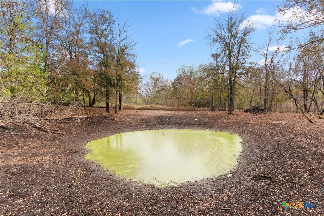 1.63 acres in Guadalupe County gallery image 4