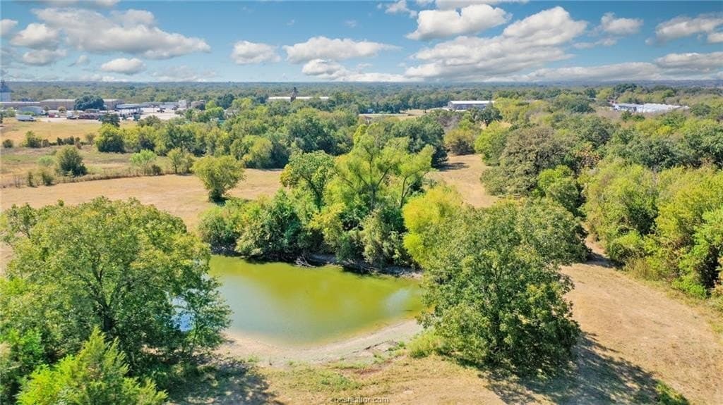 9.75 acres in Brazos County - photo 13