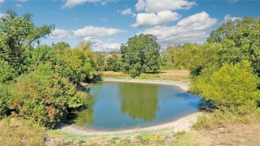 9.75 acres in Brazos County - photo 12