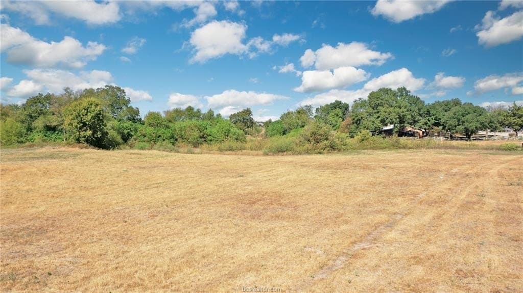 9.75 acres in Brazos County - photo 8