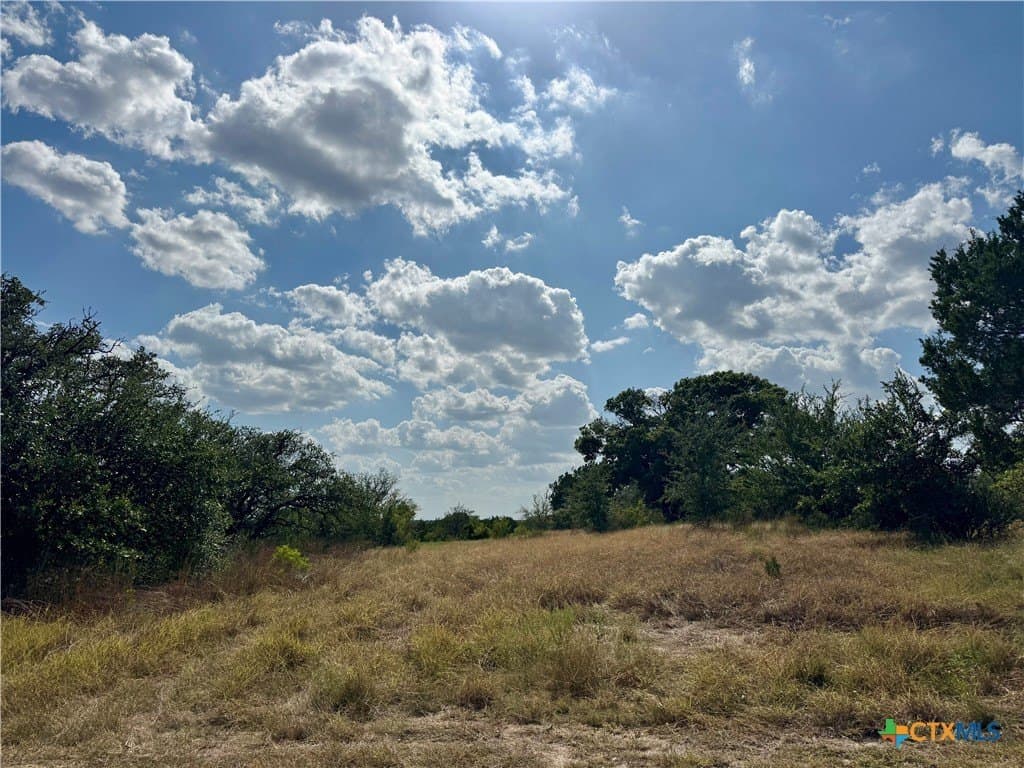 34.98 acres in Burnet County - photo 13