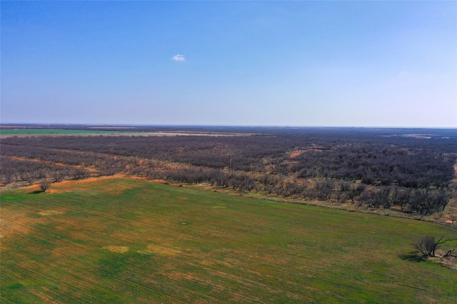 64.33 acres in Haskell County gallery image 3