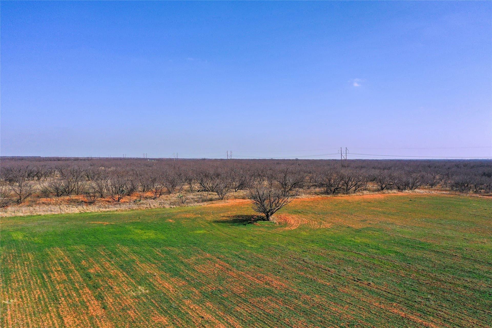 64.33 acres in Haskell County gallery image 4