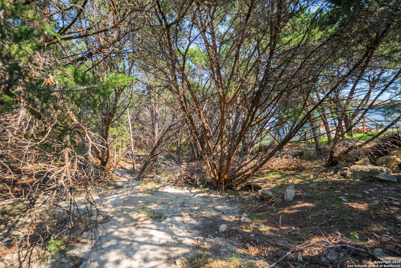 0.34 acres in Comal County - photo 17