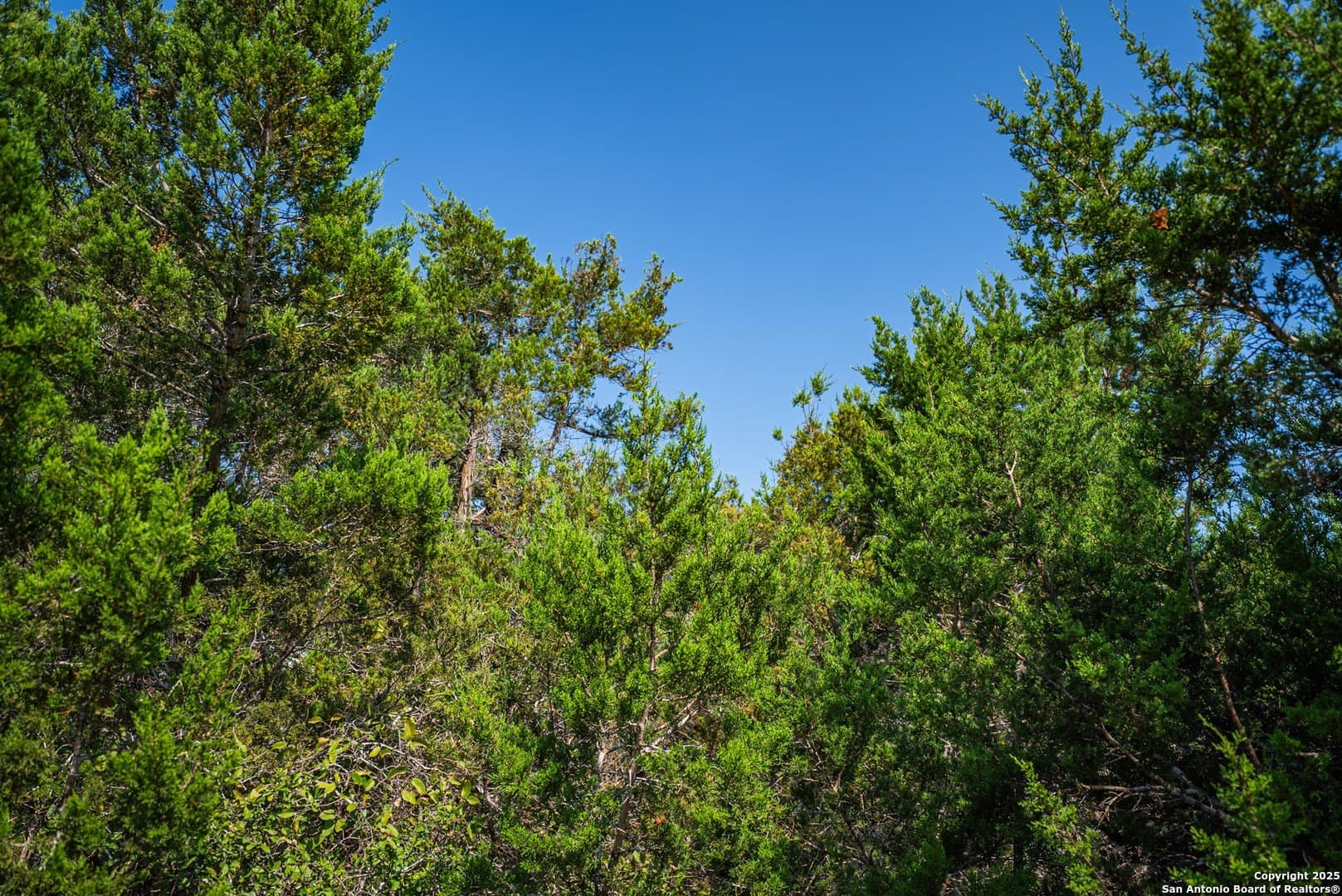 0.34 acres in Comal County - photo 11
