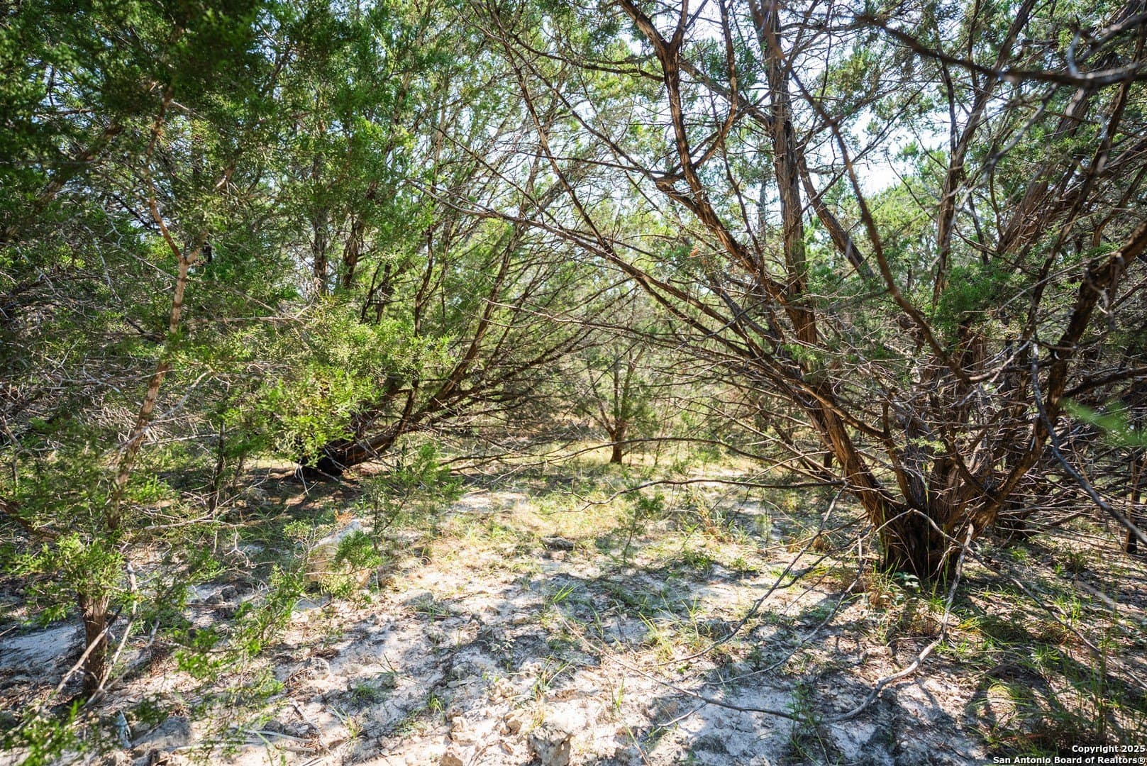 0.34 acres in Comal County - photo 14
