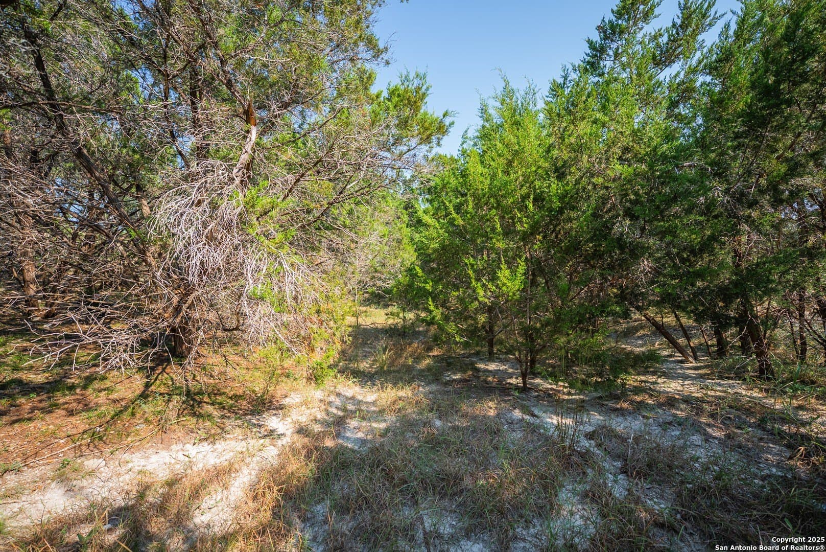 0.34 acres in Comal County - photo 15
