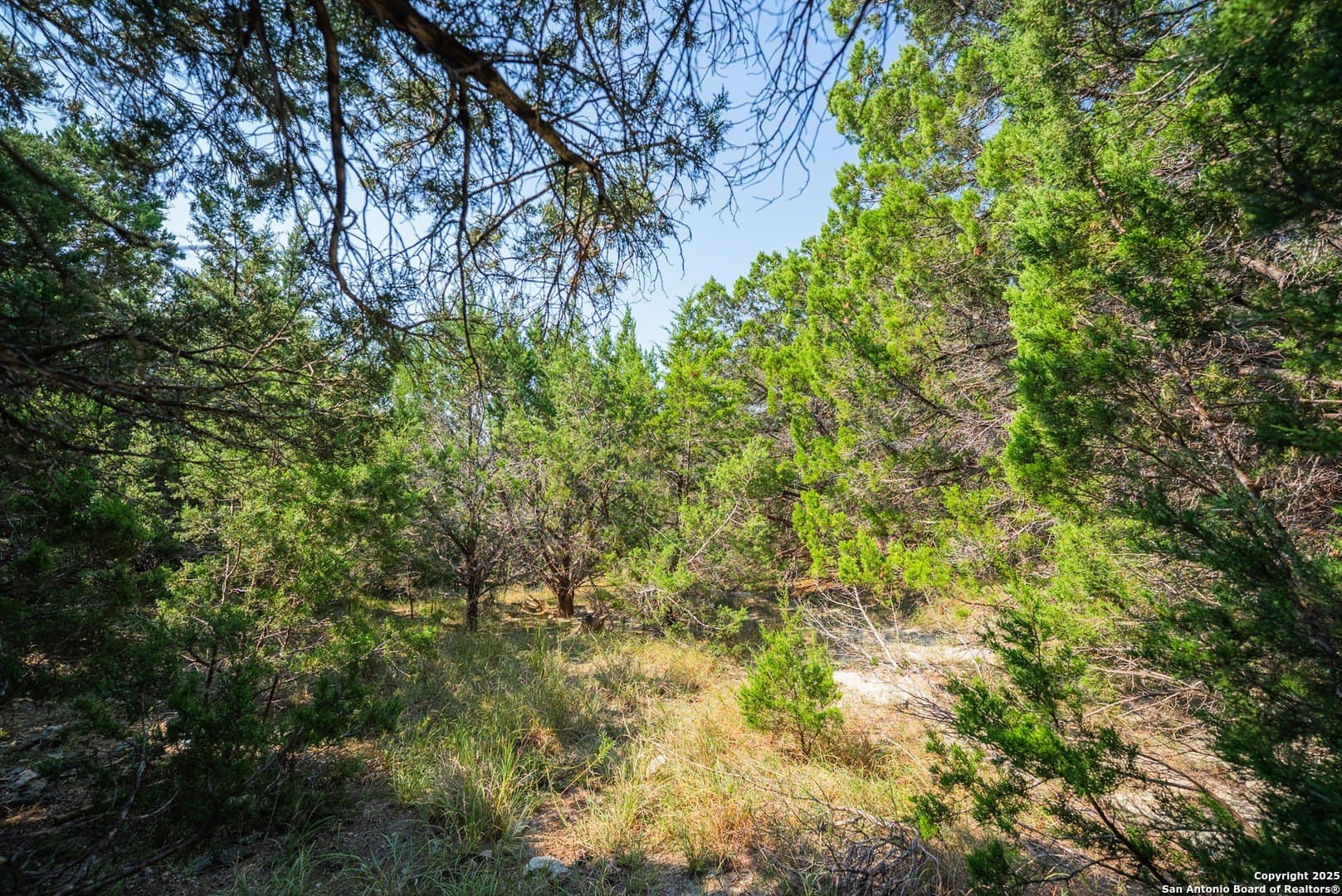 0.34 acres in Comal County - photo 18