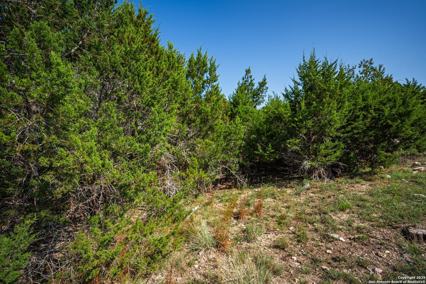 0.34 acres in Comal County - photo 10