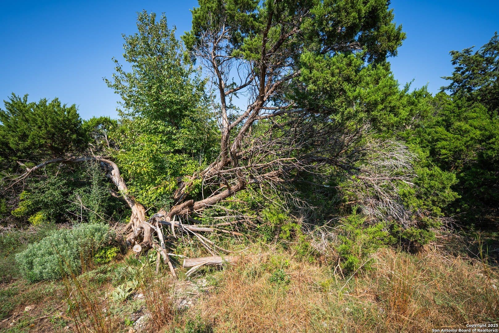 0.34 acres in Comal County - photo 12