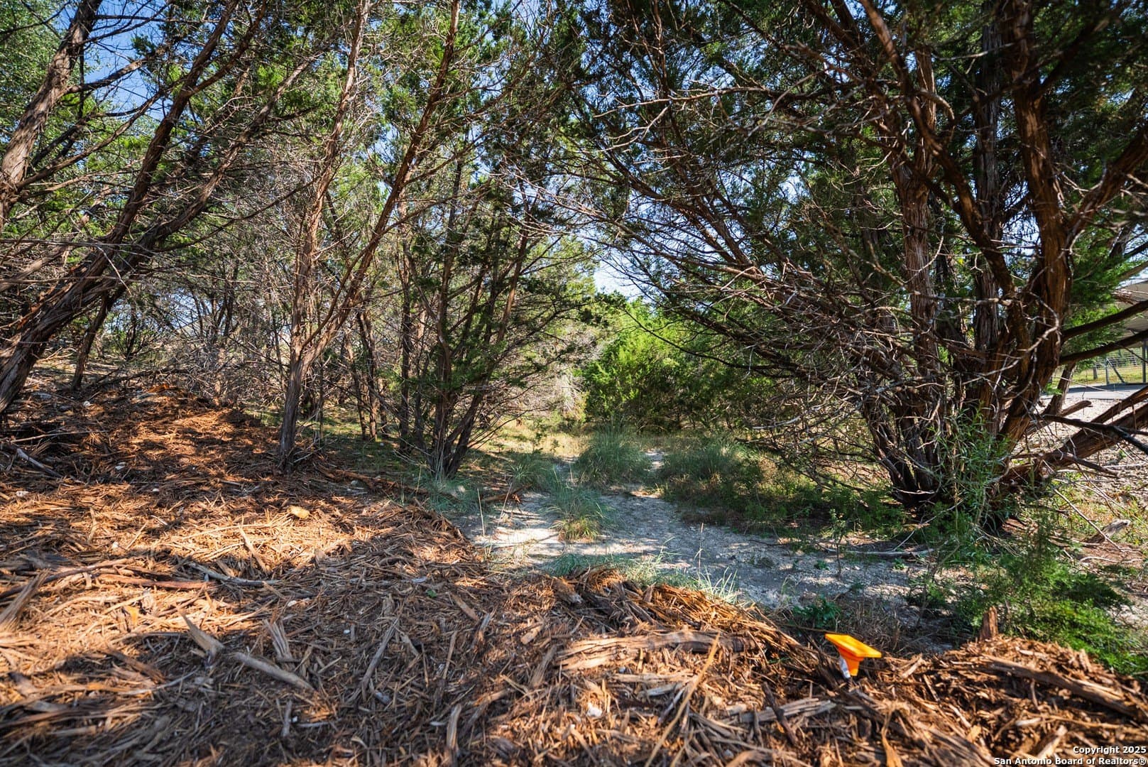 0.34 acres in Comal County - photo 13