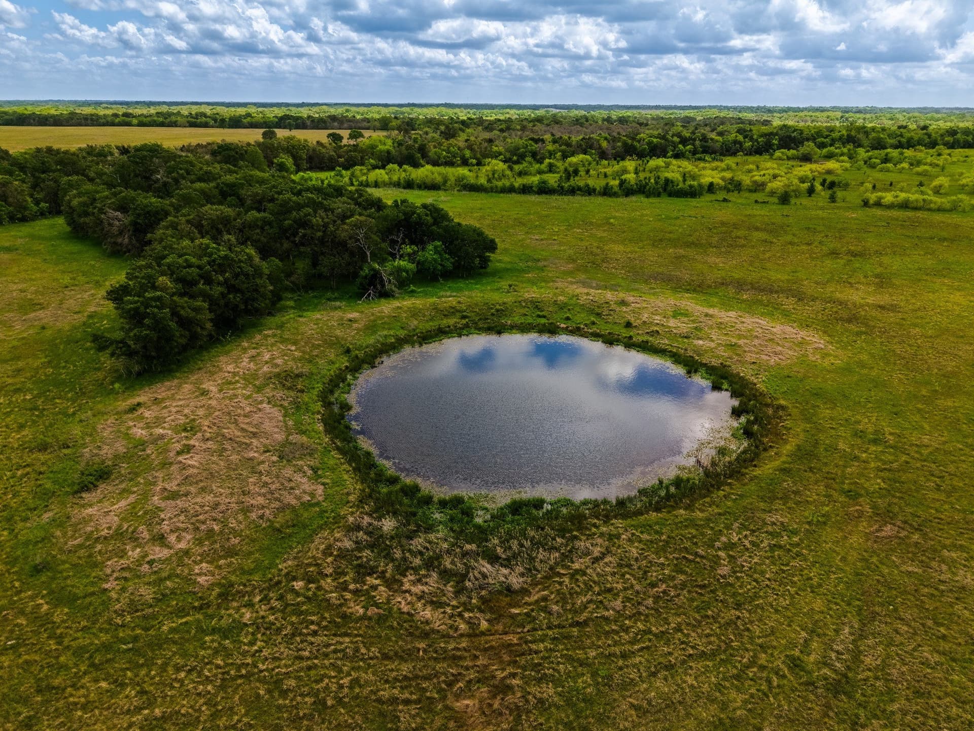 41.76 acres in Limestone County - photo 9