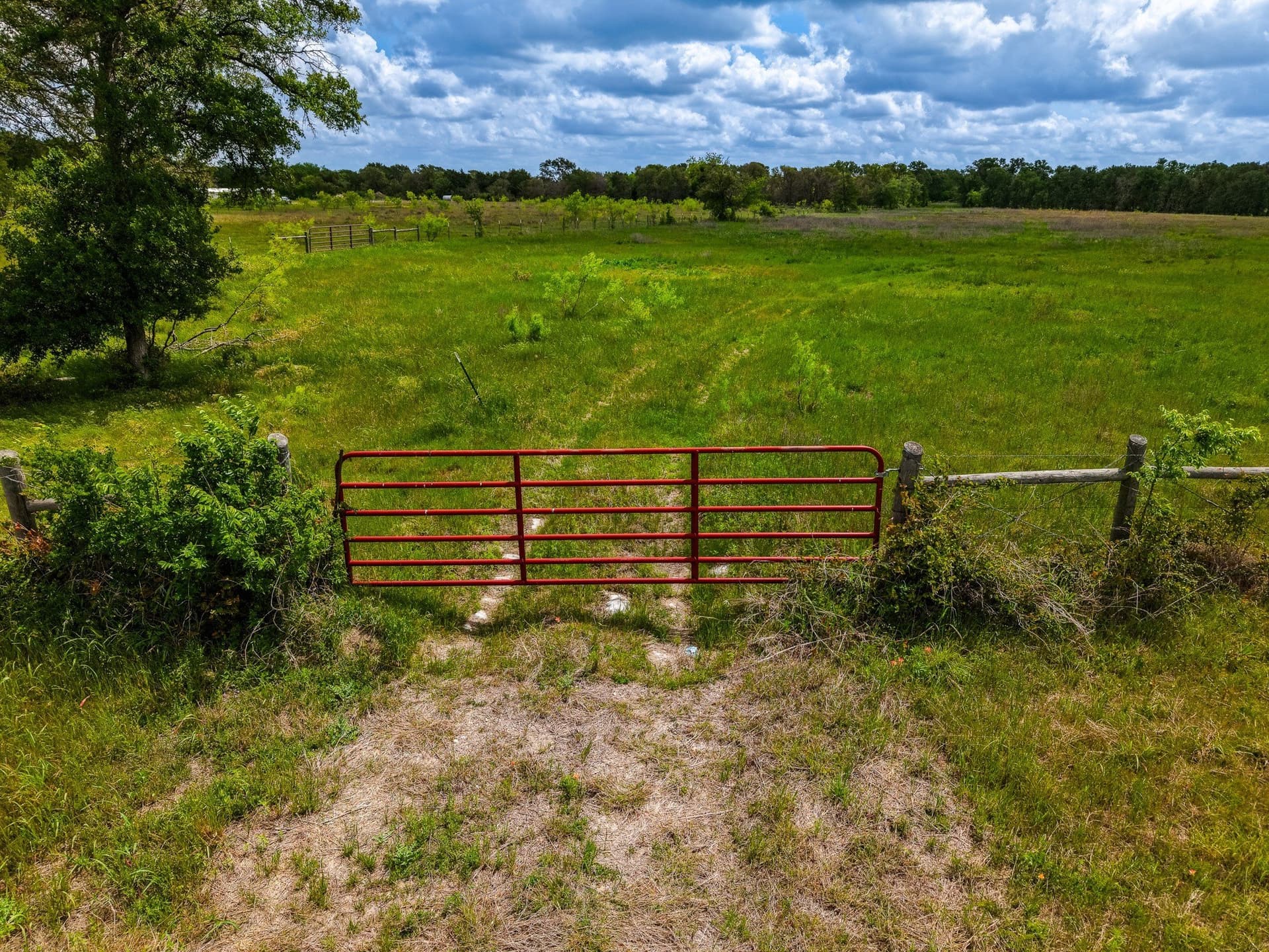 41.76 acres in Limestone County - photo 19