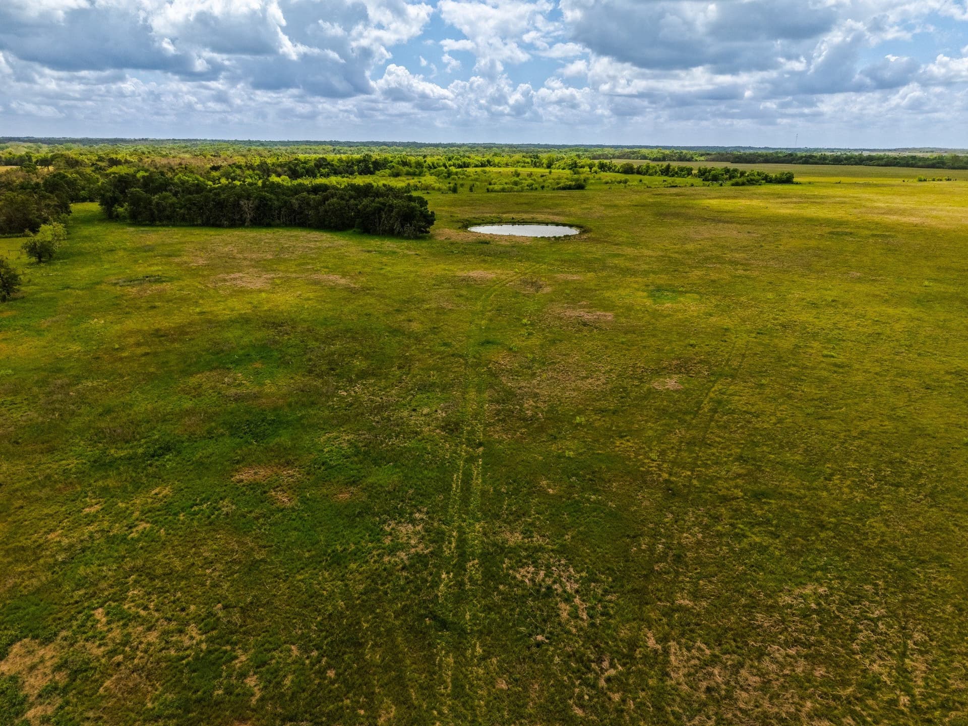 41.76 acres in Limestone County - photo 21