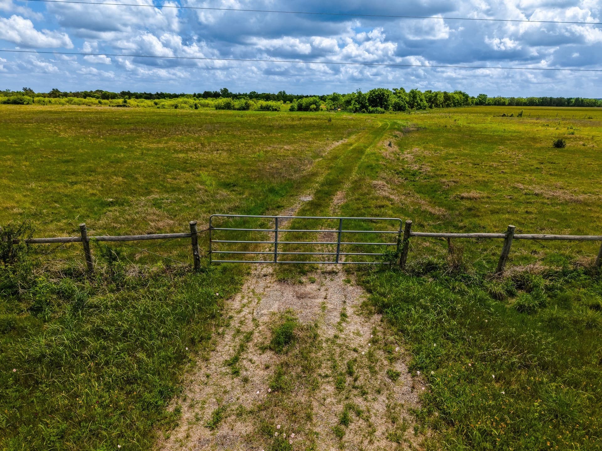 41.76 acres in Limestone County - photo 18